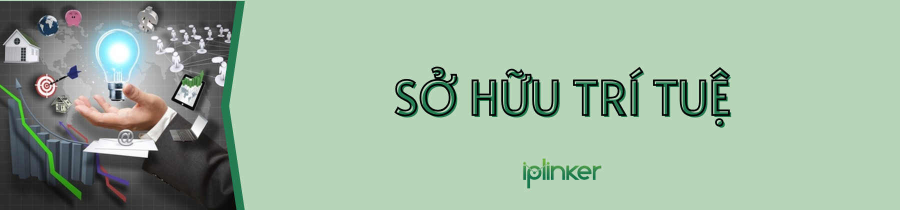 Sở hữu trí tuệ